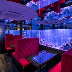 新宿 アクアリウムダイニング JeMare-ジェマーレ-の写真