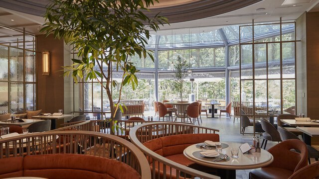 ザ・テラス(THE TERRACE/ウェスティンホテル東京)の写真