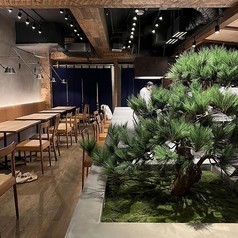 海鮮 居酒屋 鯛之鯛 難波 なんば店の写真