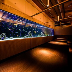 立川 京野菜と旬鮮魚 京兵衛 立川店の写真